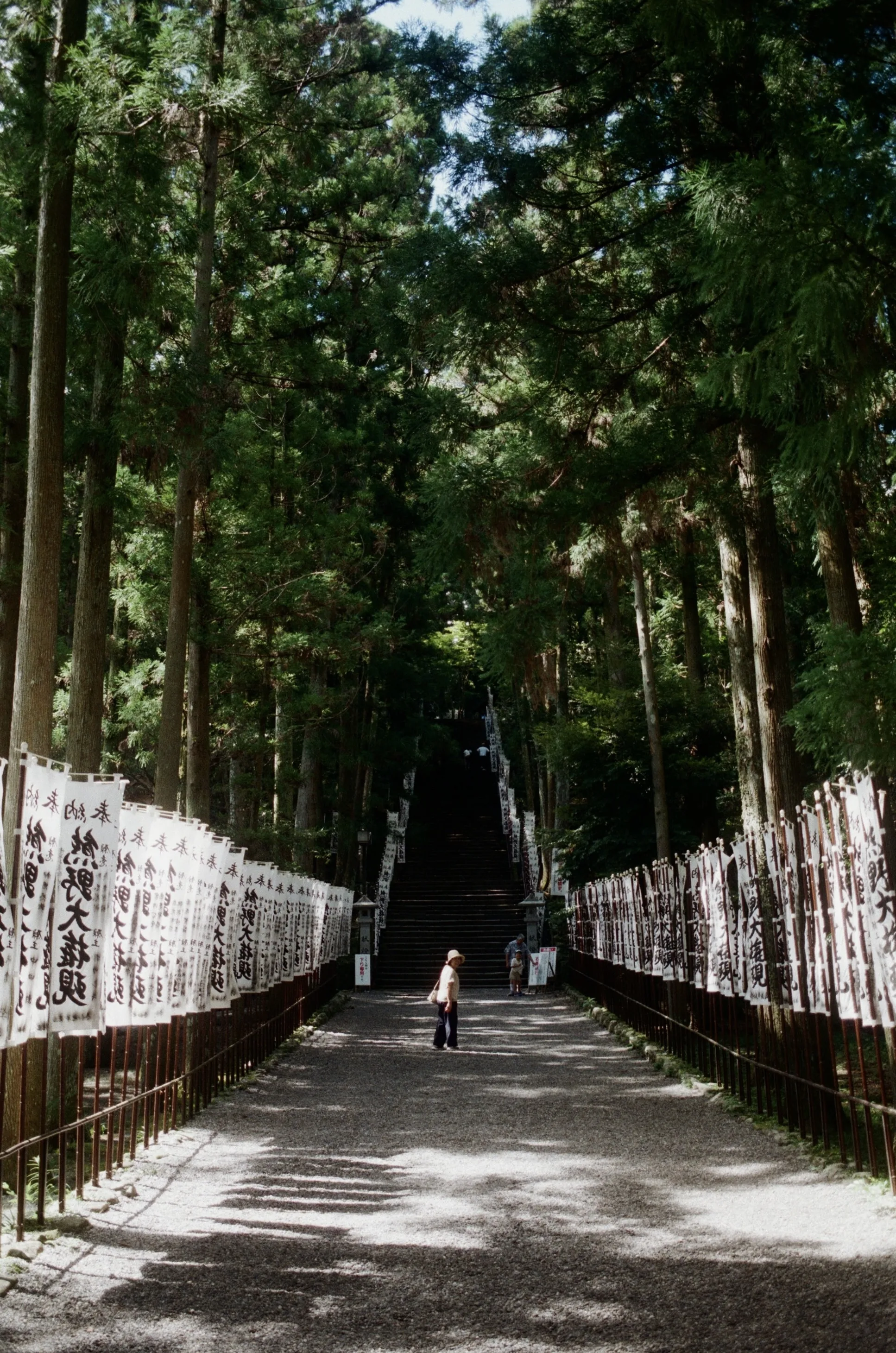 AI-generated alt text
English: Film photograph of a wide gravel path through tall cedar trees, lined on both sides with white banners bearing calligraphy and leading to a steep stone staircase. A few people stand near the steps. Kumano, Wakayama, Japan.
日本語：杉の大木が立ち並ぶ参道。砂利道の両脇に墨書きの白い幟がずらりと並び、奥には急な石段が続いている。和歌山県・熊野で撮ったフィルム写真。